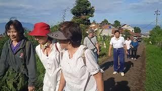 Taichi - Happy Dago Atas - Bandung - Jawa  Barat - Indonesia.