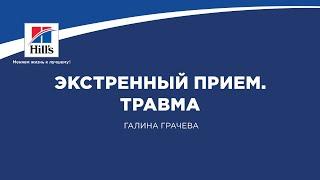 Вебинар на тему «Экстренный прием. Травма». Лектор – Галина Грачева.