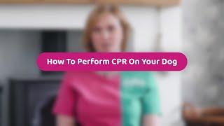 How To Perform CPR On Your Dog  Pet Health Advice