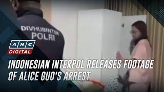 Indonesian Interpol releases footage of Alice Guos arrest  ANC