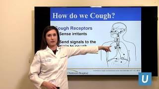 Chronic Cough Treatment for Children  Mindy Ross MD  UCLAMDChat