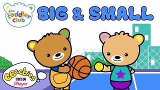 Big and Small  The Toddler Club  FULL EPISODE  CBeebies