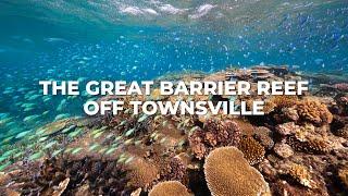 Scuba Dive the Great Barrier Reef off Townsville  Best Dives & Reefs