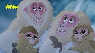 The Lion Guard  Anga Saves the Snow Monkeys  Disney Junior Arabia