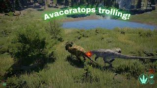 Avaceratops trolling - ai what fight back PT2