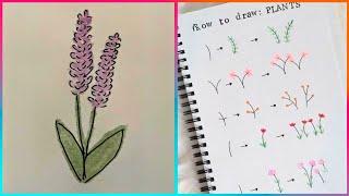 100 Ways of Drawing & Painting Flowers