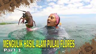 MENGULIK HASIL ALAM PULAU FLORES  JEJAK PETUALANG 300424 Part 1