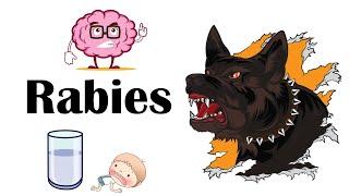 Rabies - Signs & Symptoms What Are The Signs & Symptoms Of Rabies