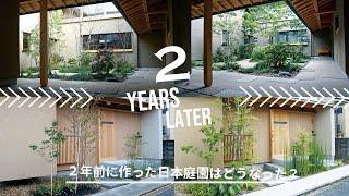 JGTV What turned out to be the Japanese garden we built two years ago?