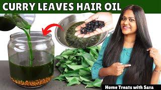 Homemade Curry Leaves Hair Oil for Double Hair Growth  Hair Oil to Get Long Hair No Hair fall 