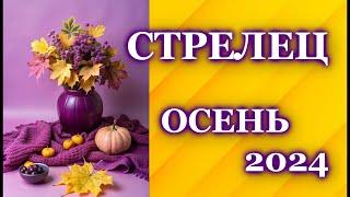 СТРЕЛЕЦ ОСЕНЬ 2024 - ТАРО ПРОГНОЗ ГОРОСКОП  SAGITTARIUS ️ AUTUMN 2024 - TAROT FORECAST HOROSCOPE