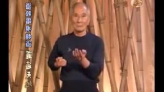 SIU LIM TAO. FULL BY IP CHUN