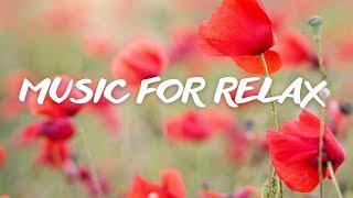 CALM MUSIC FOR RELAX AND STRESS RELIEF. Meditation Music Sleep Music Ambient Study Music