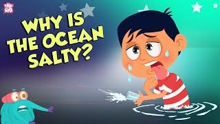 Why Is Ocean Water Salty?  Earths Ocean  Dr Binocs Show  Peekaboo Kidz