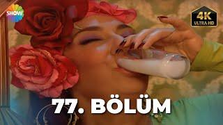 Cennet Mahallesi 77. Bölüm  Ultra HD 4K