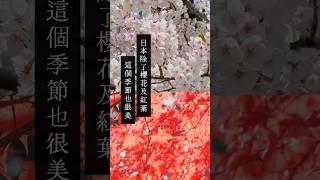 你知道日本的繡球花季也很厲害嗎？#日本旅行 #繡球花 #紫陽花