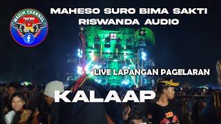 KALAPAN bantengan MAHESO SURO BIMA SAKTI feat. RISWANDA live stadion pagelaran