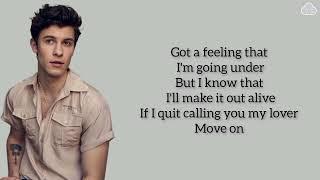 Shawn Mendes - Stitches Lyrics