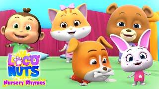 Five Little Babies  loco nuts nursery rhymes  loconuts kids songs  kids tv