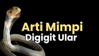 Arti Mimpi Digigit Ular Kobra Inilah misteri Tafsir Makna dan Artinya