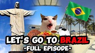 CAT MEMES FAMILY VACATION COMPILATION TO BRAZIL + EXTRA SCENES