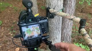 2021 Treestand Self Filming Set Up