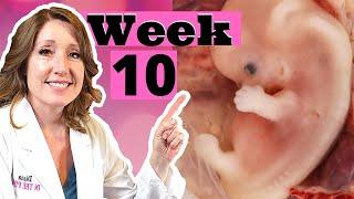 What Are 10 Week Pregnancy Symptoms  Plus How to Treat Heartburn and Morning Sickness