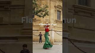 Barselona flamenkonun ritmi və Kataloniyanın döyünən nəbzi