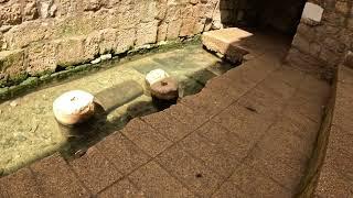 Jerusalem pool of Siloam tunnel uder the Pilgrim road 4 3 24