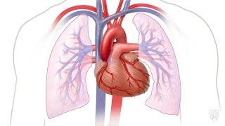 Mayo Clinic Minute Managing atrial fibrillation