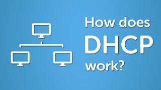 DHCP Explained  Step by Step