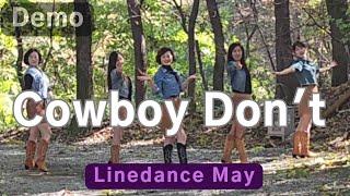 Cowboy Dont Line Dance ImproverRoy Verdonk Ira Weisburd & Sebastiaan Holtland -2nd Video Demo