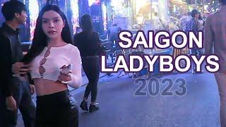 Saigon Ladyboys 2023