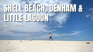 Shell Beach Denham & Little Lagoon  Australien • Weltreise Vlog 103