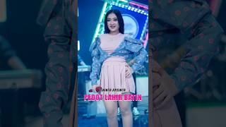 Tambah pedot - Shinta Arsinta #dangdut #terbaru #2024 #shorts