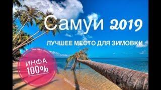 Самуи 2019 лучшее место для зимовки