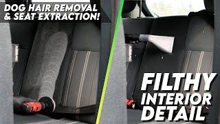 Detailing A Filthy Fiesta Interior  Dog Hair Removal & Seat Extraction 