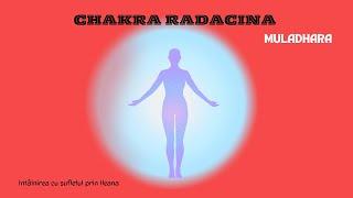 Chakra radacina #chakras #muladhara