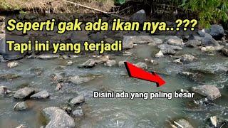 Mancing Ikan WaderGenggehek Di Arus deras yang dangkal Kelihatan gak ada ikan tapi besar-besar