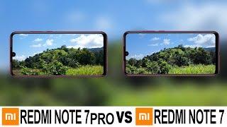 Redmi Note 7 Pro Vs Redmi Note 7 Camera Test