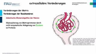 Pathologie ─  Extrazelluläre Veränderungen