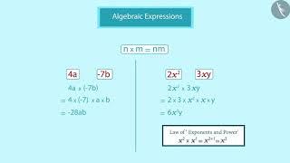 Multiplication of algebraic expressions  Part 13  English  Class 8