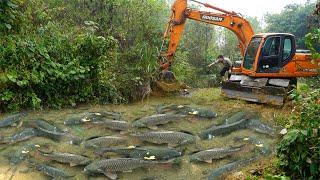 Full Video Fishing Exciting Use Large Excavator Catch Many Of Fish Capacity Pump Suck Water