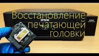 Ремонт печатающей головки Epson. Инструкция. Как снять и промыть. Восстановление струйного принтера.