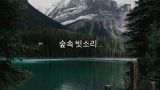 라이브스타LIVE stars숲속 빗소리...자연의 소리sounds of nature