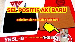 sel positif aki baru buatan sendirinew battery positive cells sebelum dan setelah oksidasi