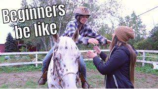 Types of BEGINNERS taking horse riding lessons   parody
