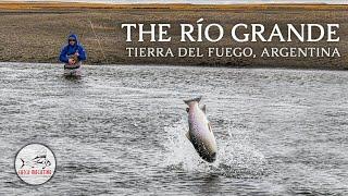 Fly Fishing for HUGE SEARUN BROWN TROUT  by Todd Moen