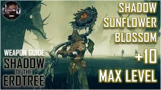 Shadow Sunflower Blossom +10 Max Level Build & Guide