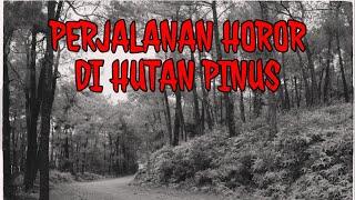 PERJALANAN HOROR MALAM HARI DI HUTAN PINUS • MISTERI HOROR PENUMPANG MISTERIUS